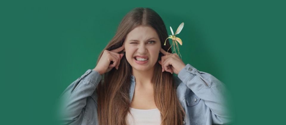 چرا پشه ها نزدیک گوش ما وزوز می‌کنند؟