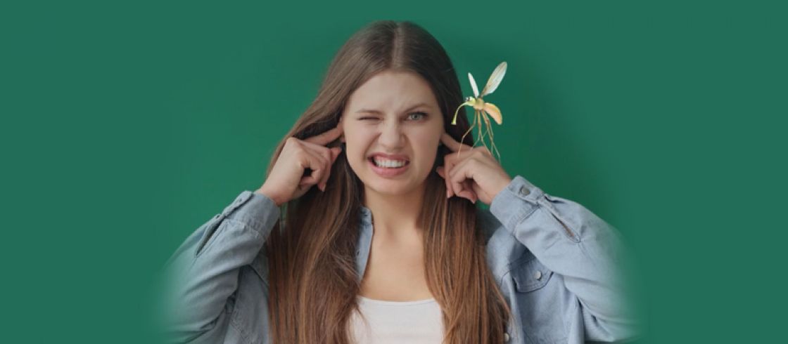 چرا پشه ها نزدیک گوش ما وزوز می‌کنند؟