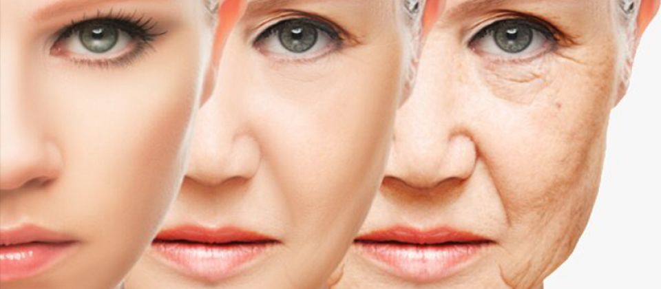 محققان سلول‌‌های پوست را ۳۰ سال جوان‌تر کردند