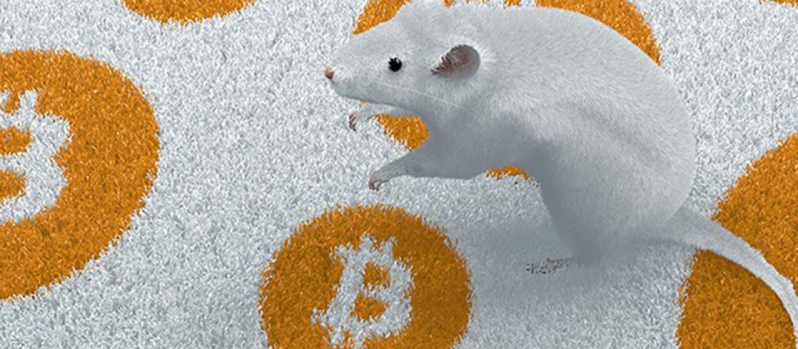 تزریق بیت‌کوین به دی ان ای یک موش!