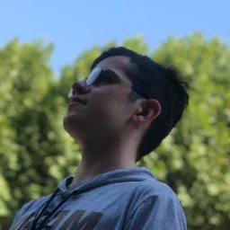 امیرمحمد ظریف
